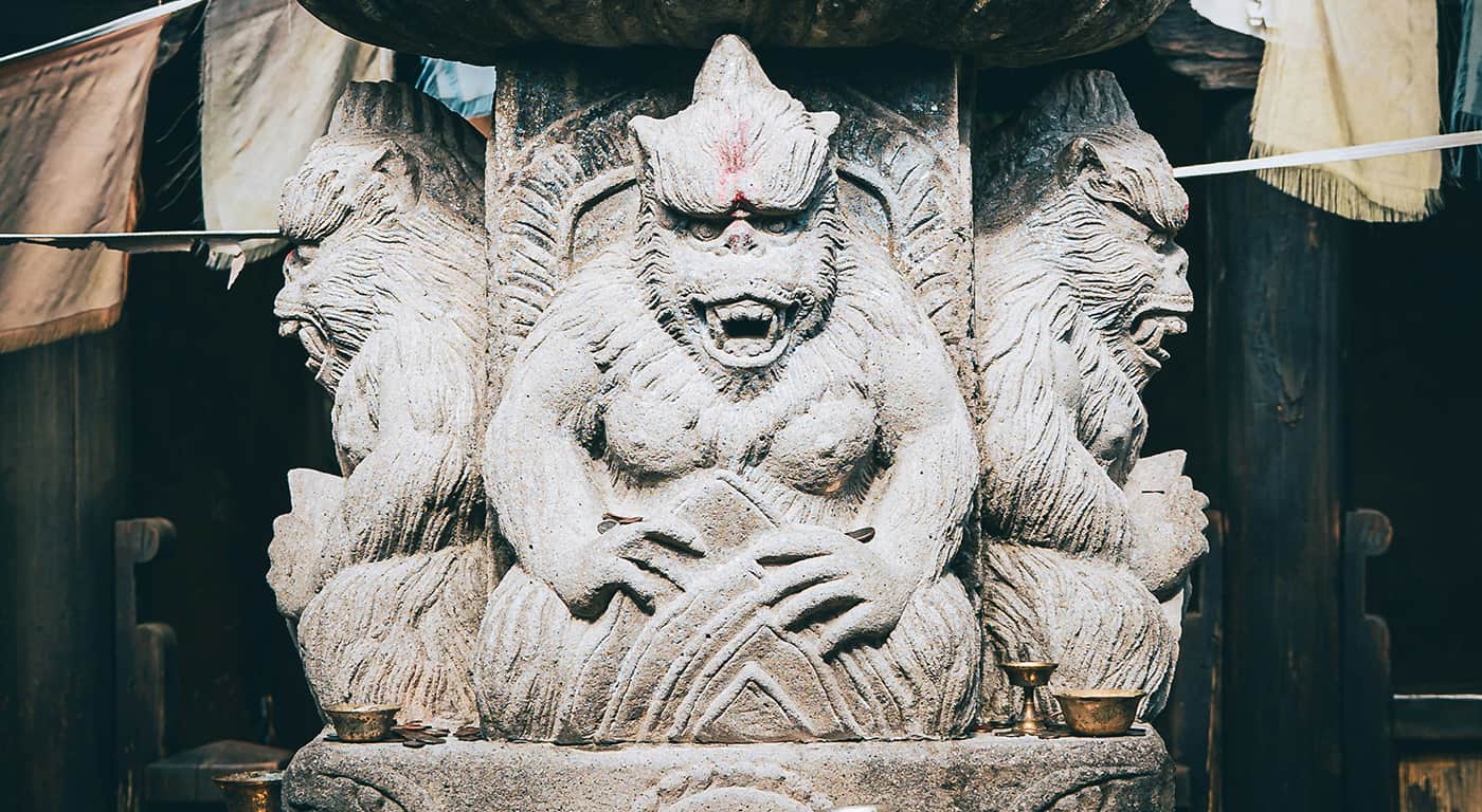matt benson CaoAPQXc unsplash